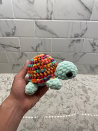 Image 2 of Mini Turtle 