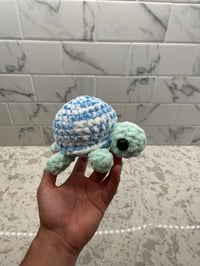 Image 3 of Mini Turtle 