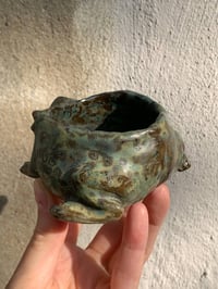 Image 2 of rainfrog jewellery keeper