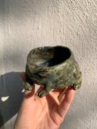 Image 1 of rainfrog jewellery keeper