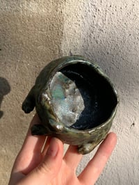 Image 3 of rainfrog jewellery keeper