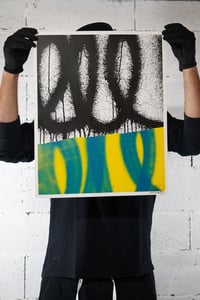 Image 2 of Raw Line 01