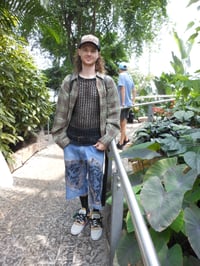 Image 3 of TNG Mesh Stitch Jean Shorts