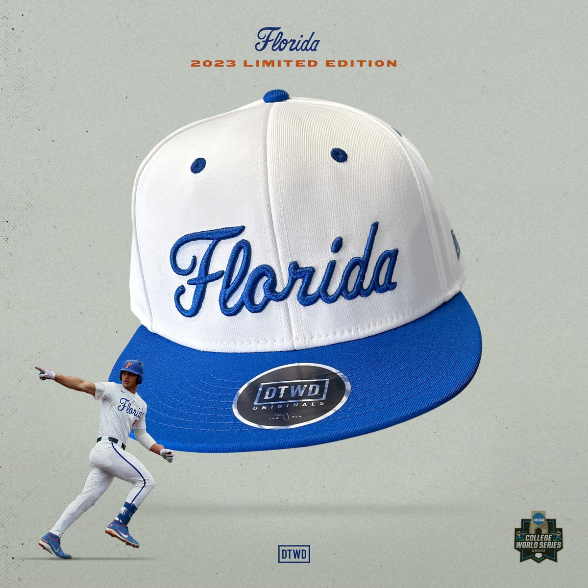 Dtwd florida script snapback
