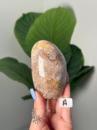 Image 1 of FLOWER AGATE FREEFORMS 