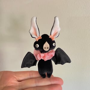 Image of Jet the Baby Bat