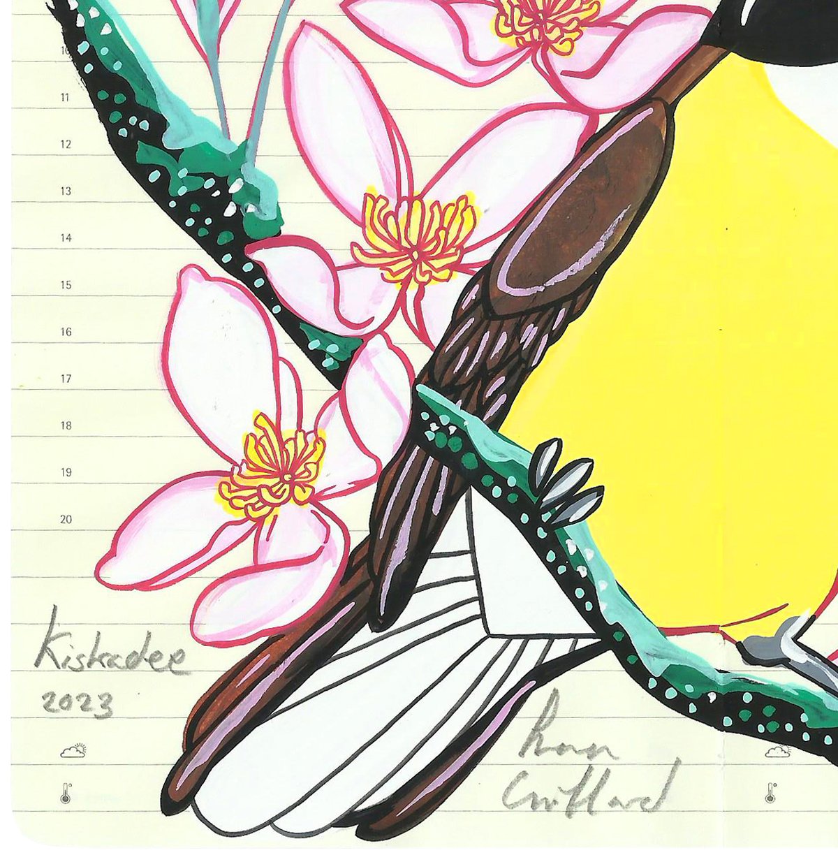 Image of Greater Kiskadee