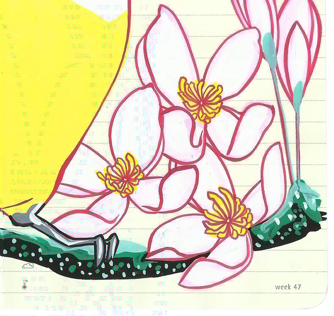 Image of Greater Kiskadee