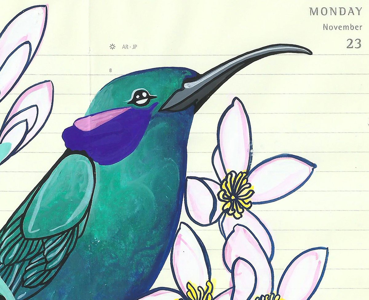 Image of Mexican Violetear