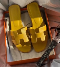 Image 2 of Hermes Slides