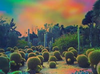 'Cactus Wonderland' Print