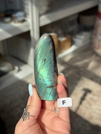 Image 6 of CHOOSE YOUR OWN SMALL LABRADORITE FREEFORM -MADAGASCAR-