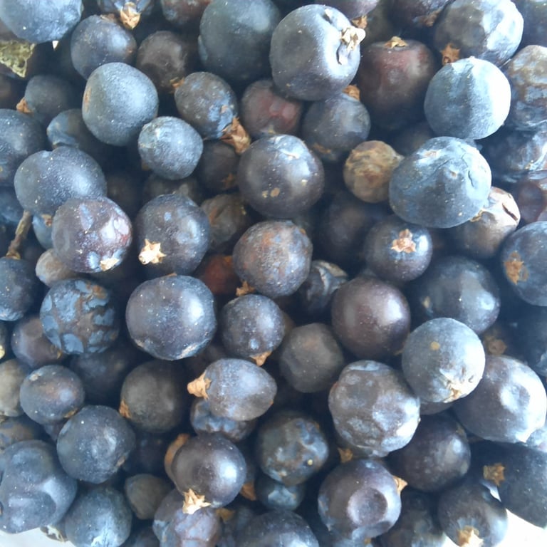 Dried Herbs, Roots, Flowers and Fruits