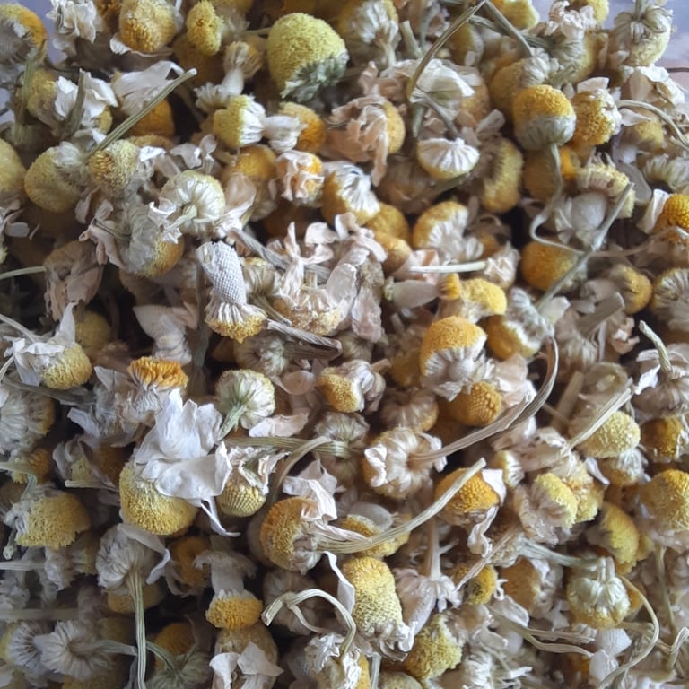 Dried Herbs, Roots, Flowers and Fruits