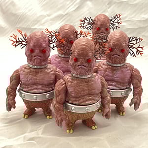 Image of Amazing Gordo
