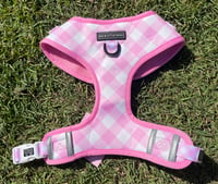 Big & Little Dogs - Pink Gingham Harness 