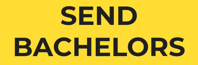 289. Send Bachelors Sticker