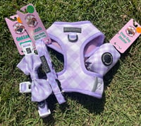 Image 2 of Big & Little Dogs - Berry Gingham Harness 