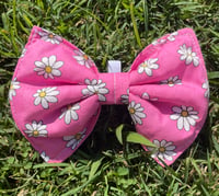 Pet Bow Tie - Pink Daisies 