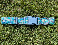 Pawfect Blue Flower collar - Medium 