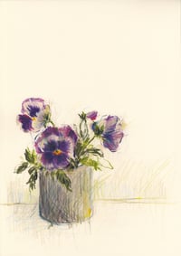 Pansies in a vase