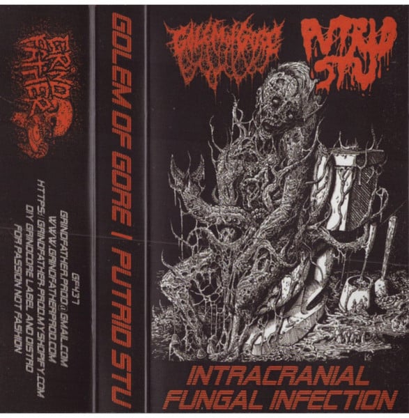 Image of Golem Of Gore / Putrid Stu – Intracranial Fungal Infection Cassette