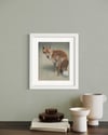 'Foxtail' Limited Edition Print