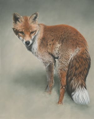 Image of 'Foxtail' Limited Edition Print