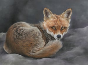 Image of 'Ever Watchful' Limited Edition Print