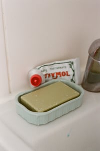 Soap punnet 