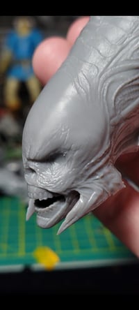 Image 4 of Raven alien head