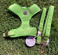 Image 2 of Holly & Co - Apple Green Harness 