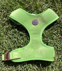 Image 1 of Holly & Co - Apple Green Harness 