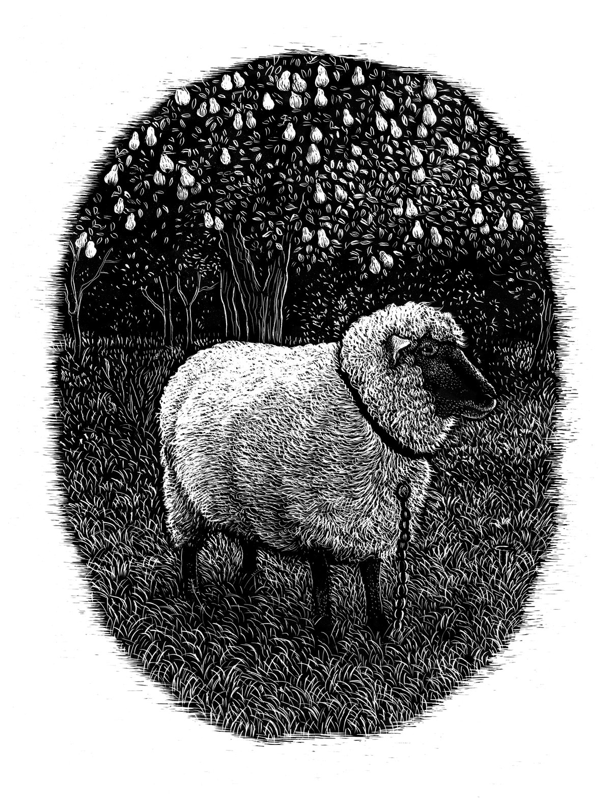 Image of »Sheep's Serenade beneath the Pear Tree«