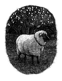 »Sheep’s Serenade beneath the Pear Tree«
