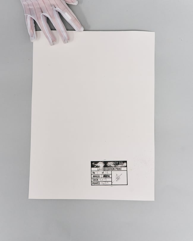 Purple Lily - From flowers and elements, 30 x 40 