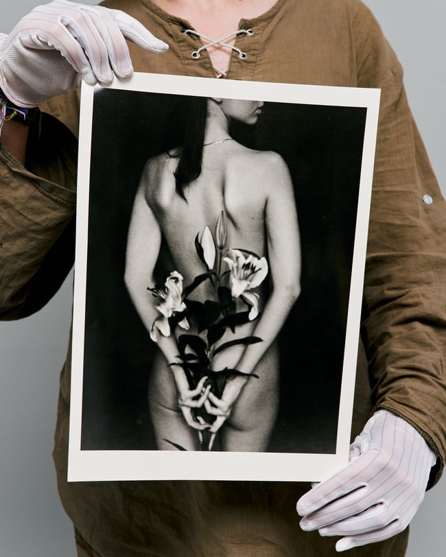 Purple Lily - From flowers and elements, 30 x 40 