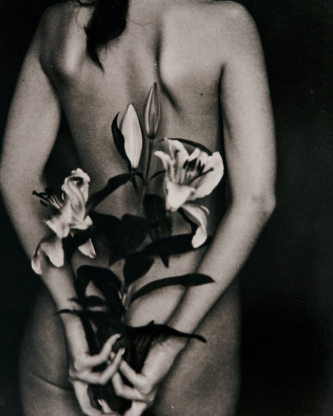 Purple Lily - From flowers and elements, 30 x 40 