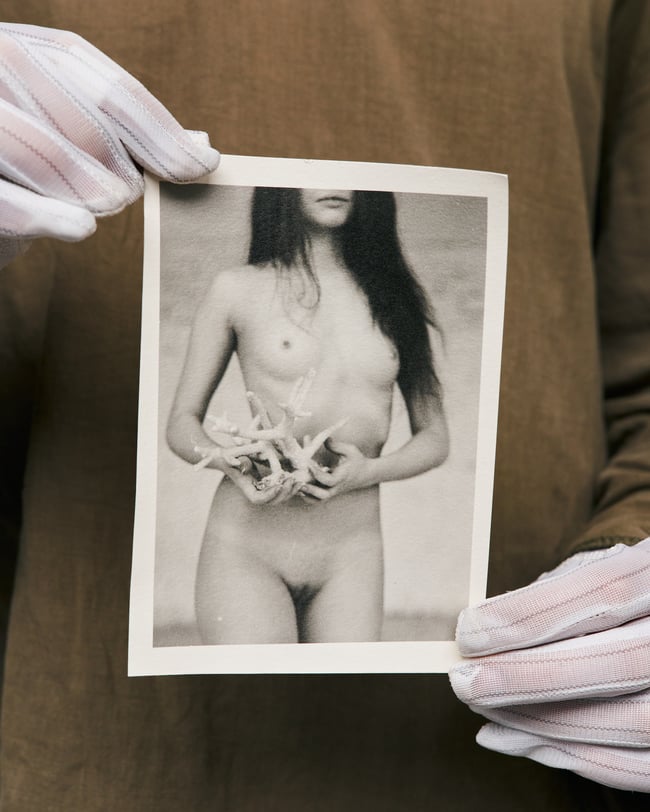 Hand printed postcard sized FB ART prints - Flowers and Elements