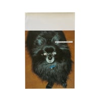 Image 1 of SISLEY SPRING SUMMER 2000 - TERRY RICHARDSON