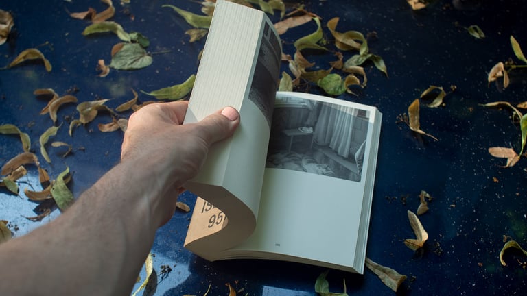 Monika Janulevičiūtė, 'BENCH, VOL. 1' (2023) Image 3