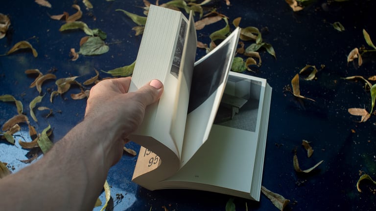 Monika Janulevičiūtė, 'BENCH, VOL. 1' (2023) Image 4
