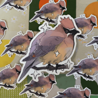 cedar waxwing sticker