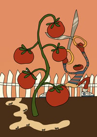 Tomato Boy A4 Print