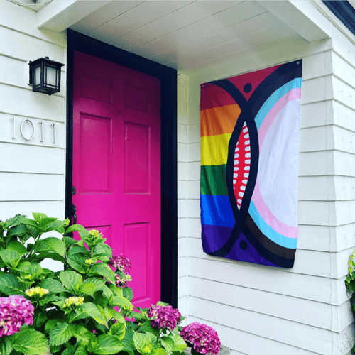 Image of Progress Pride Orca Face Flag