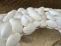 Image 6 of Seashell Mirror Shite 24”