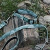 Recycled Dog Collar Alpine