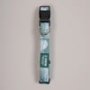 Recycled Dog Collar Alpine