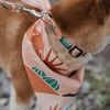 Recycled Dog Collar Sonaron
