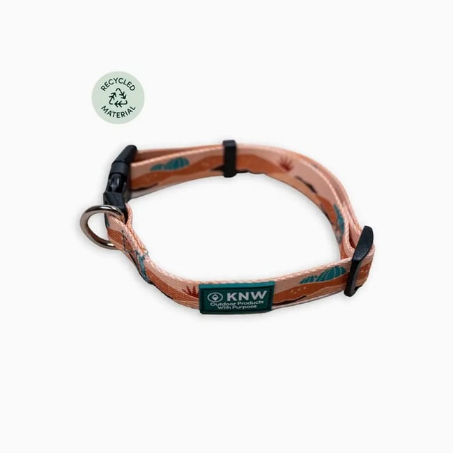 Recycled Dog Collar Sonaron